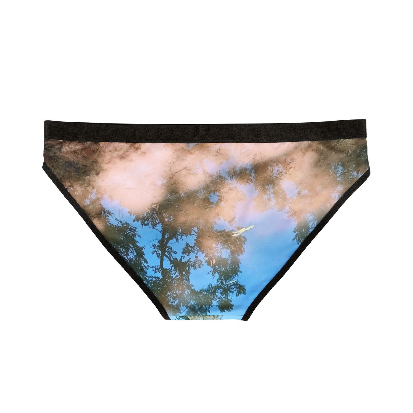 Aqua Dreamy:  Abstract Nature Women Underwear - Comfortable & Stylish Briefs