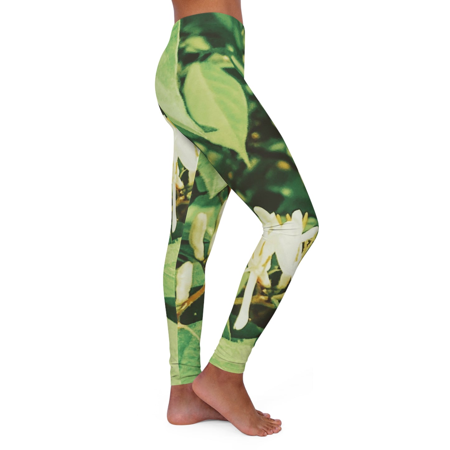 Honeysuckle:  Women's Casual Spandex Leggings (AOP)