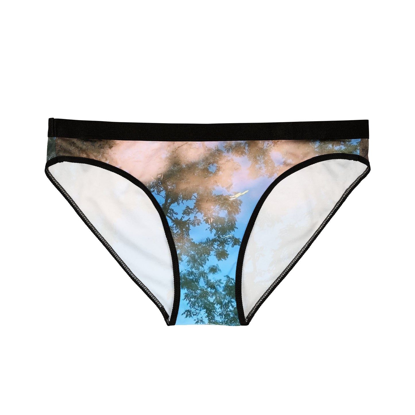 Aqua Dreamy:  Abstract Nature Women Underwear - Comfortable & Stylish Briefs