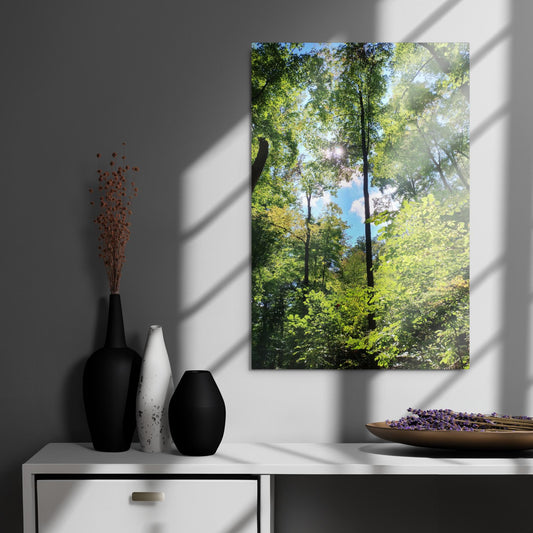 Gorgeous Greens:  Metal prints